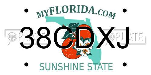 38CDXJ Florida License Plate