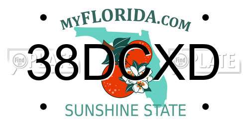 38DCXD Florida License Plate