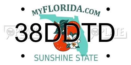 38DDTD Florida License Plate