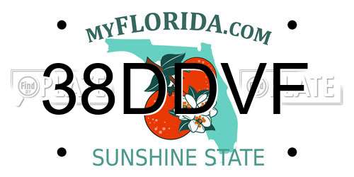 38DDVF Florida License Plate