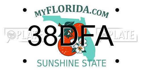 38DFA Florida License Plate