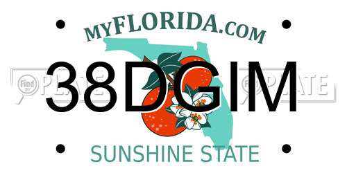 38DGIM Florida License Plate