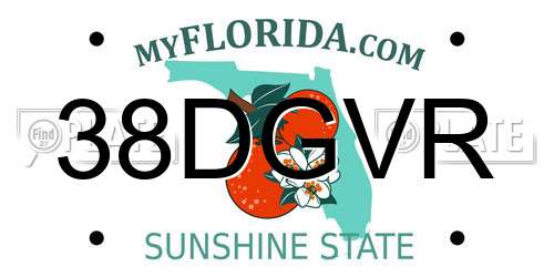 38DGVR Florida License Plate