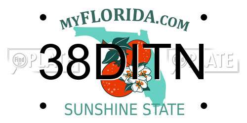 38DITN Florida License Plate