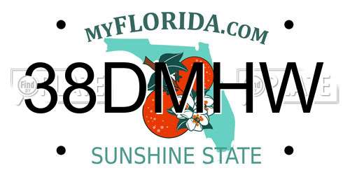 38DMHW Florida License Plate