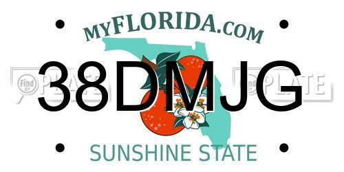 38DMJG Florida License Plate