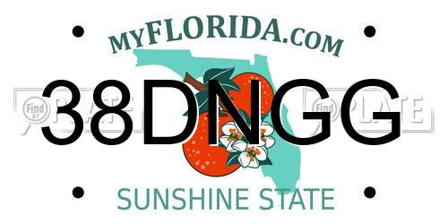 38DNGG Florida License Plate