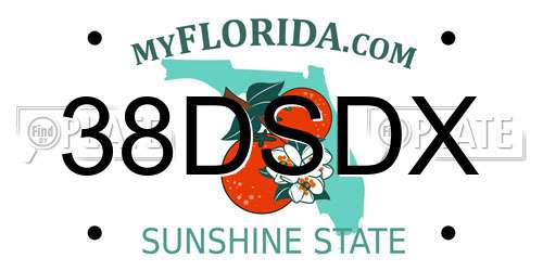 38DSDX Florida License Plate