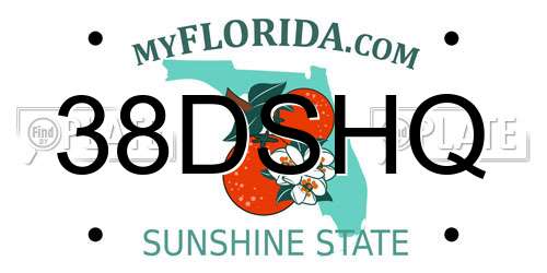 38DSHQ Florida License Plate