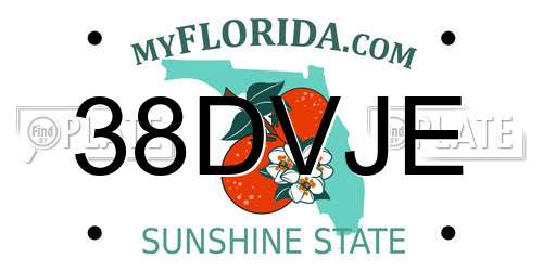 38DVJE Florida License Plate
