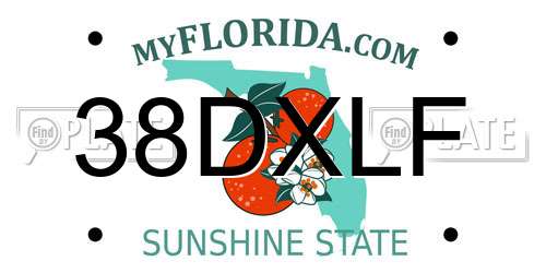 38DXLF Florida License Plate
