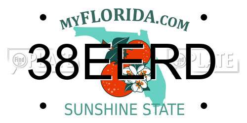 38EERD Florida License Plate