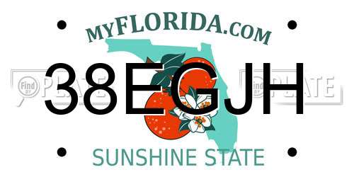 38EGJH Florida License Plate