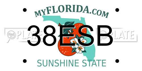 38ESB Florida License Plate