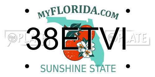 38ETVI Florida License Plate