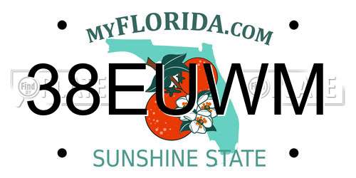 38EUWM Florida License Plate