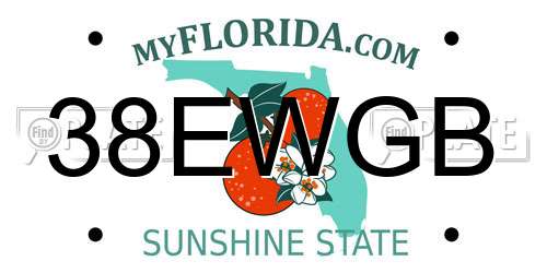 38EWGB Florida License Plate