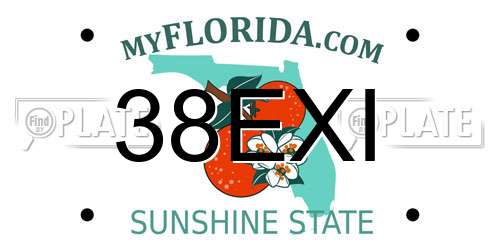 38EXI Florida License Plate