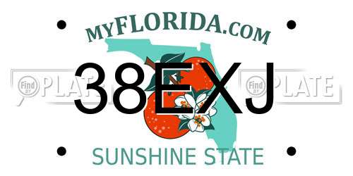 38EXJ Florida License Plate