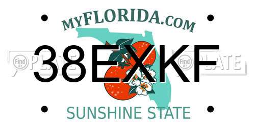 38EXKF Florida License Plate