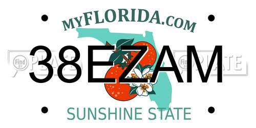 38EZAM Florida License Plate
