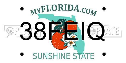 38FEIQ Florida License Plate