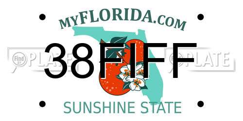38FIFF Florida License Plate