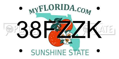 38FZZK Florida License Plate