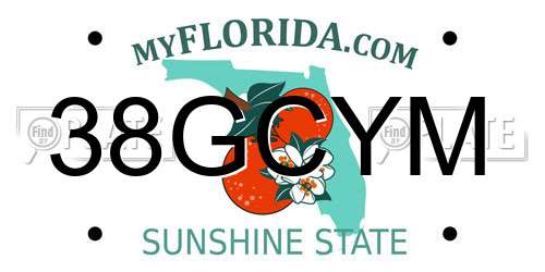 38GCYM Florida License Plate