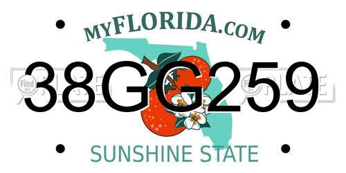 38GG259 Florida License Plate