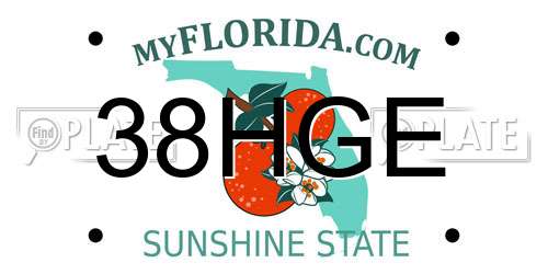 38HGE Florida License Plate