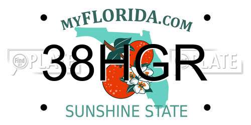 38HGR Florida License Plate