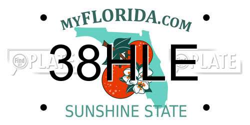 38HLE Florida License Plate