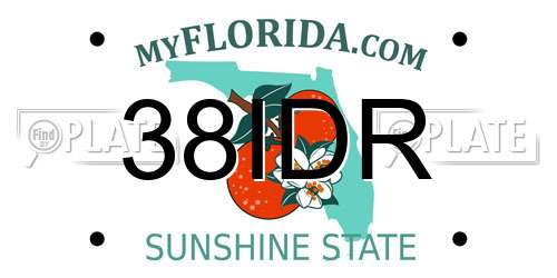 38IDR Florida License Plate