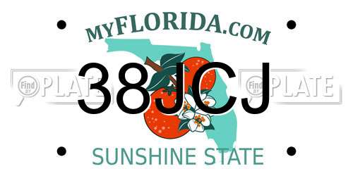 38JCJ Florida License Plate