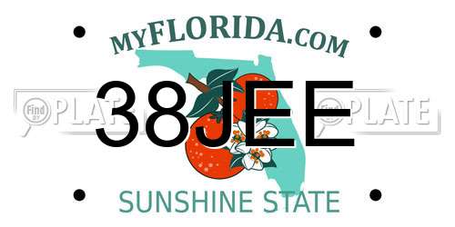 38JEE Florida License Plate