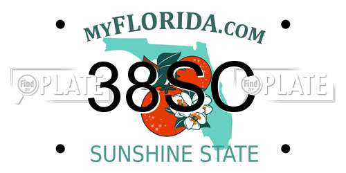 38SC Florida License Plate