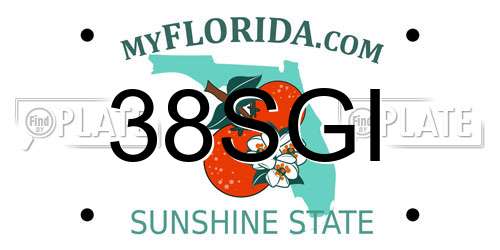 38SGI Florida License Plate