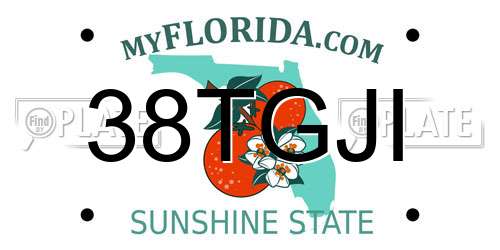 38TGJI Florida License Plate