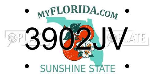 3902JV Florida License Plate