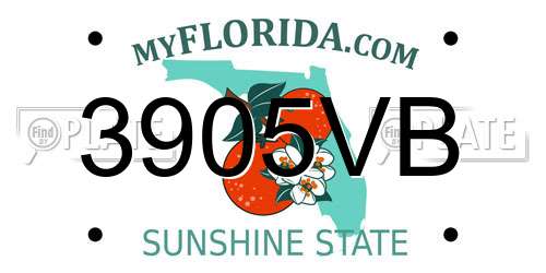 3905VB Florida License Plate