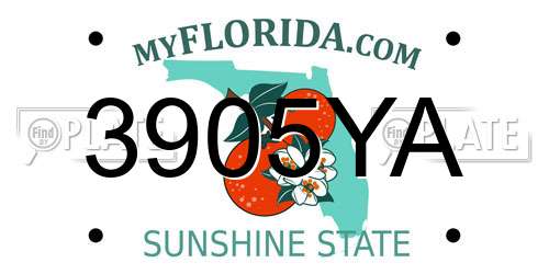 3905YA Florida License Plate