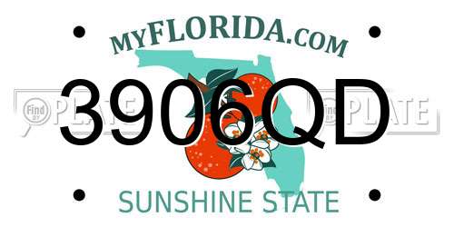 3906QD Florida License Plate