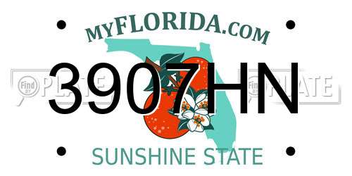 3907HN Florida License Plate