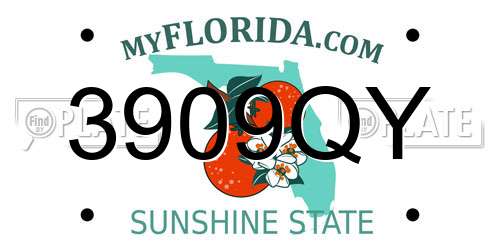 3909QY Florida License Plate