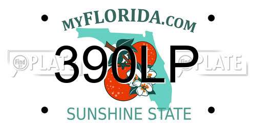 390LP Florida License Plate