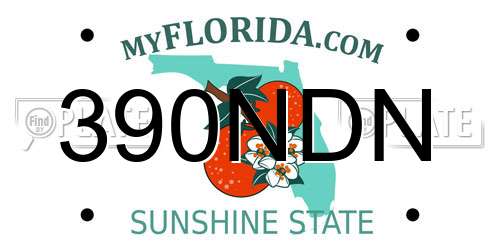 390NDN Florida License Plate