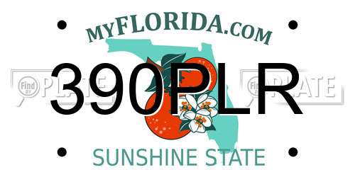 390PLR Florida License Plate