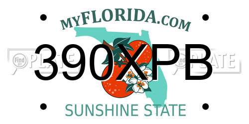 390XPB Florida License Plate