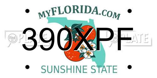 390XPF Florida License Plate